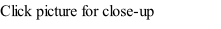 Click picture for close-up