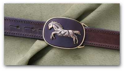 Horse close up