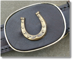 Horseshoe close up