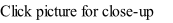 Click picture for close-up