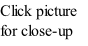 Click picture for close-up