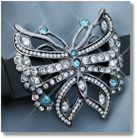 BlueButterfly-close